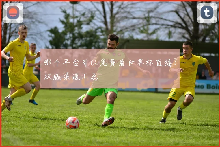 哪个平台可以免费看世界杯直播？权威渠道汇总