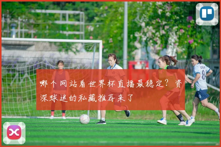哪个网站看世界杯直播最稳定？资深球迷的私藏推荐来了