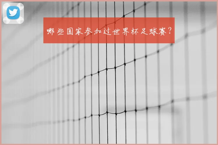 哪些国家参加过世界杯足球赛？