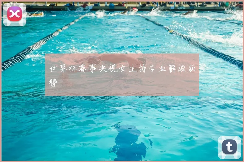 世界杯赛事央视女主持专业解读获赞