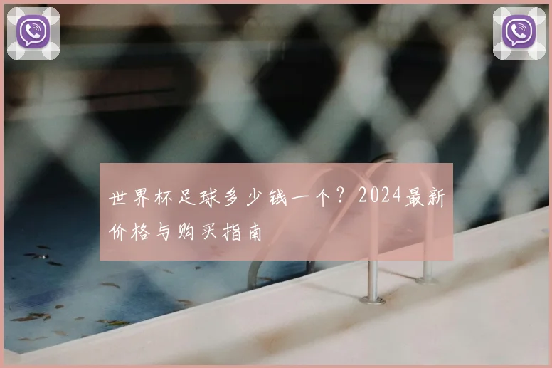 世界杯足球多少钱一个？2024最新价格与购买指南