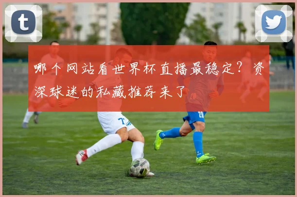 哪个网站看世界杯直播最稳定？资深球迷的私藏推荐来了