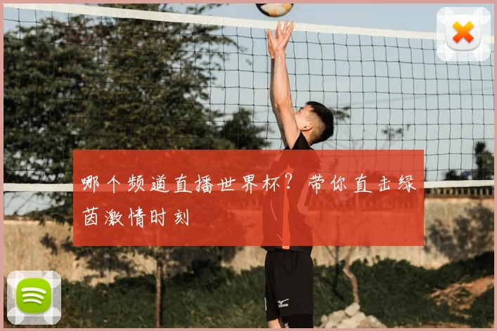 哪个频道直播世界杯？带你直击绿茵激情时刻