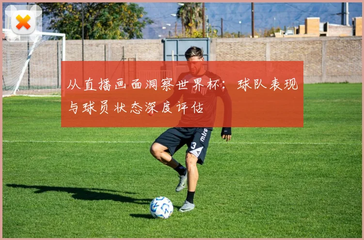 从直播画面洞察世界杯：球队表现与球员状态深度评估