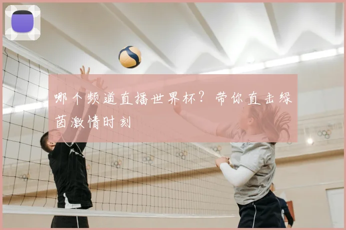 哪个频道直播世界杯？带你直击绿茵激情时刻