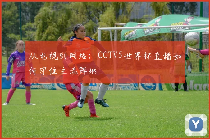 从电视到网络：CCTV5世界杯直播如何守住主流阵地