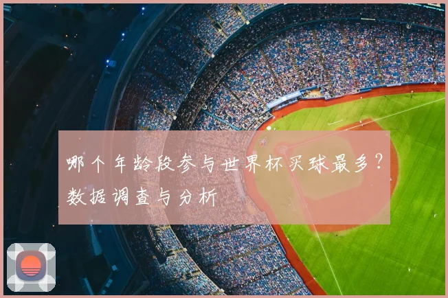 哪个年龄段参与世界杯买球最多？数据调查与分析