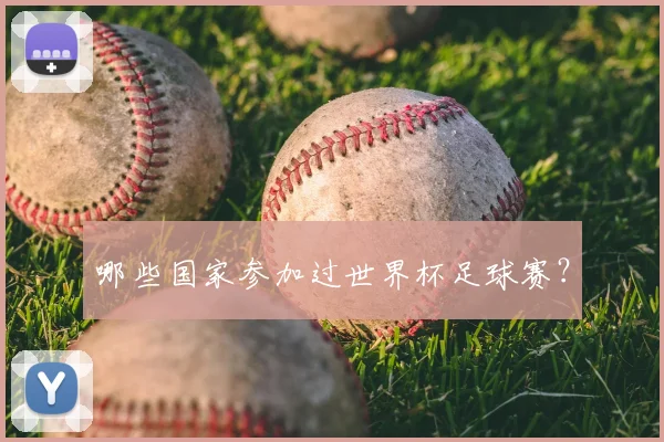 哪些国家参加过世界杯足球赛？