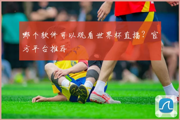 哪个软件可以观看世界杯直播？官方平台推荐