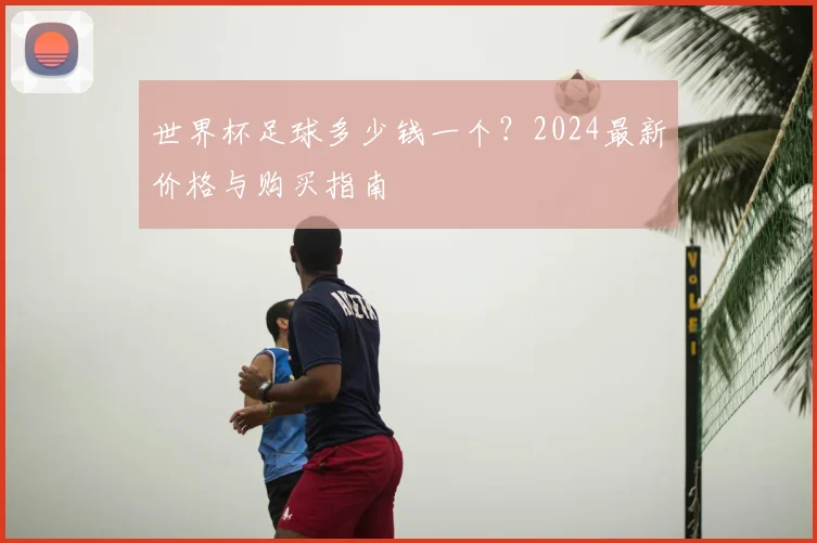 世界杯足球多少钱一个？2024最新价格与购买指南