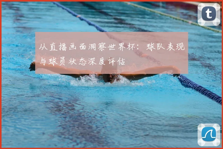 从直播画面洞察世界杯：球队表现与球员状态深度评估