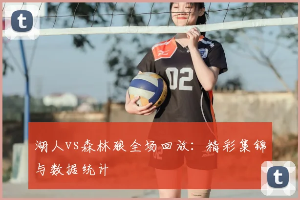 湖人vs森林狼全场回放：精彩集锦与数据统计