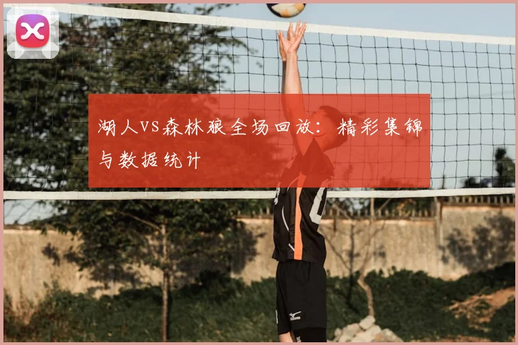 湖人vs森林狼全场回放:精彩集锦与数据统计